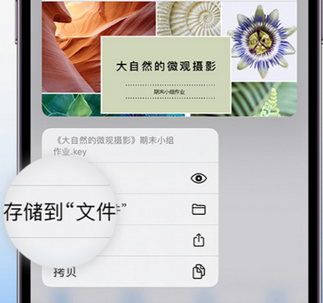 丹凤apple维修中心分享iPhone文件应用中存储和找到下载文件