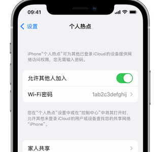 丹凤apple服务站点分享iPhone上个人热点丢失了怎么办 