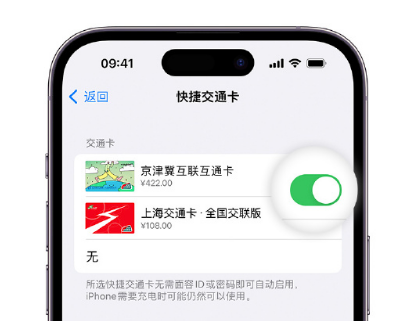 丹凤apple维修点分享iPhone上更换Apple Pay快捷交通卡手绘卡面 