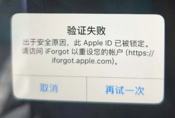 丹凤iPhone维修分享iPhone上正常登录或使用AppleID怎么办 