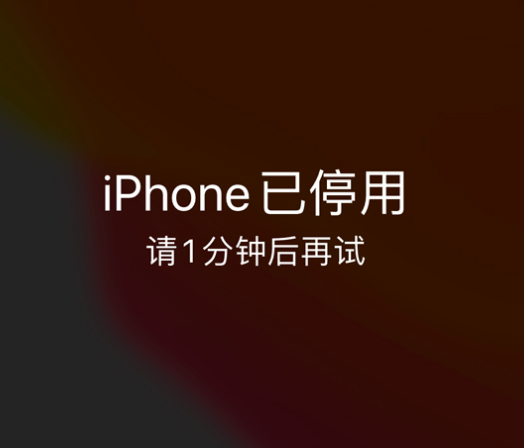 丹凤苹果手机维修分享:iPhone 显示“不可用”或“已停用”怎么办？还能保留数据吗？ 