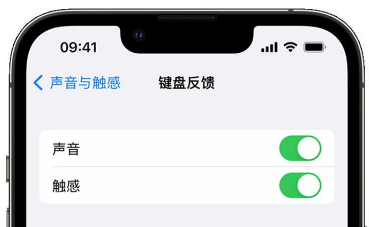 丹凤苹果手机维修分享iPhone 14触感键盘使用方法 