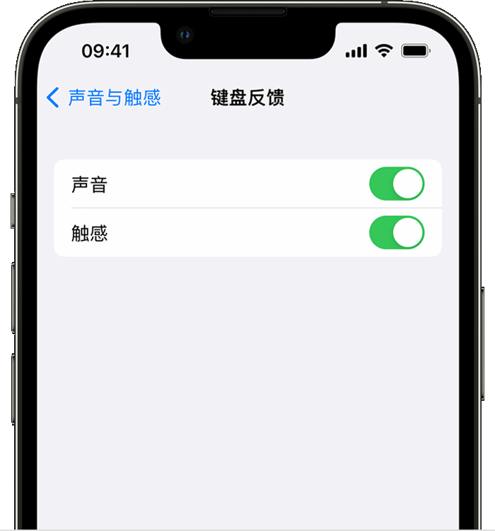 丹凤苹果14维修店分享如何在 iPhone 14 机型中使用触感键盘 