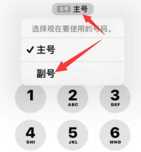 丹凤苹果14维修店分享iPhone 14 Pro Max使用副卡打电话的方法 