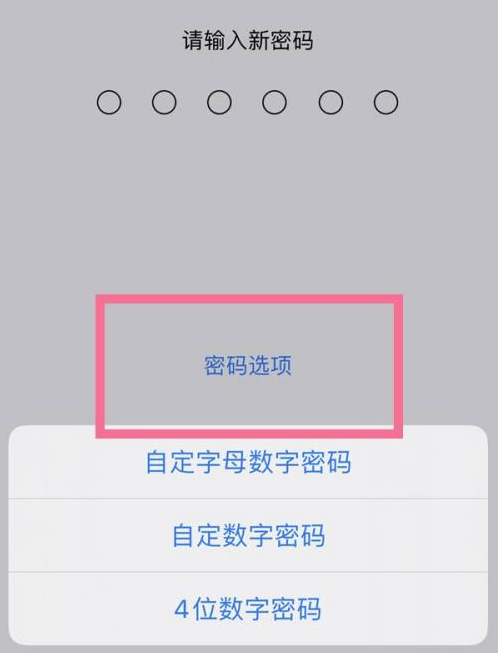 丹凤苹果14维修分享iPhone 14plus设置密码的方法 