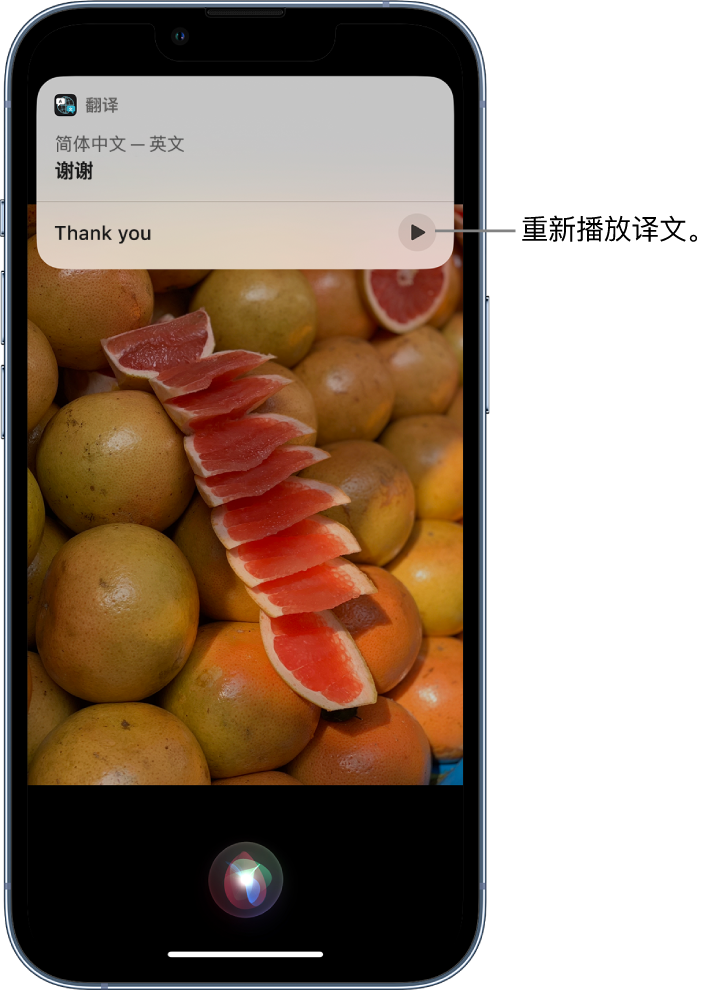 丹凤苹果14维修分享 iPhone 14 机型中使用 Siri：了解 Siri 能帮你做什么 