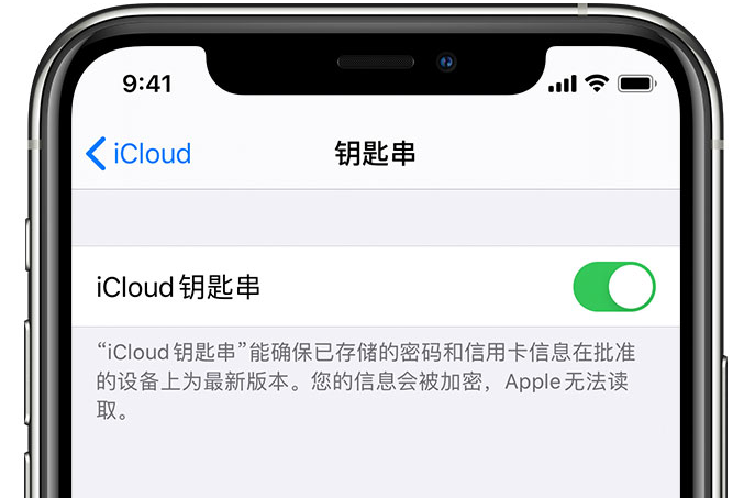 丹凤苹果手机维修分享在 iPhone 上开启 iCloud 钥匙串之后会储存哪些信息 