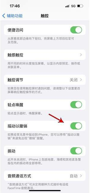 丹凤苹果手机维修分享iPhone手机如何设置摇一摇删除文字 