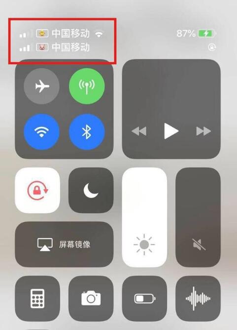 丹凤苹果手机维修分享为 iPhone 12 双卡设置标签 